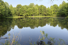 Pond Field